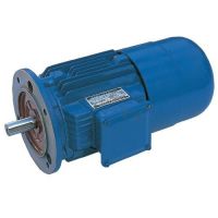成都運(yùn)行電機(jī)物美價廉