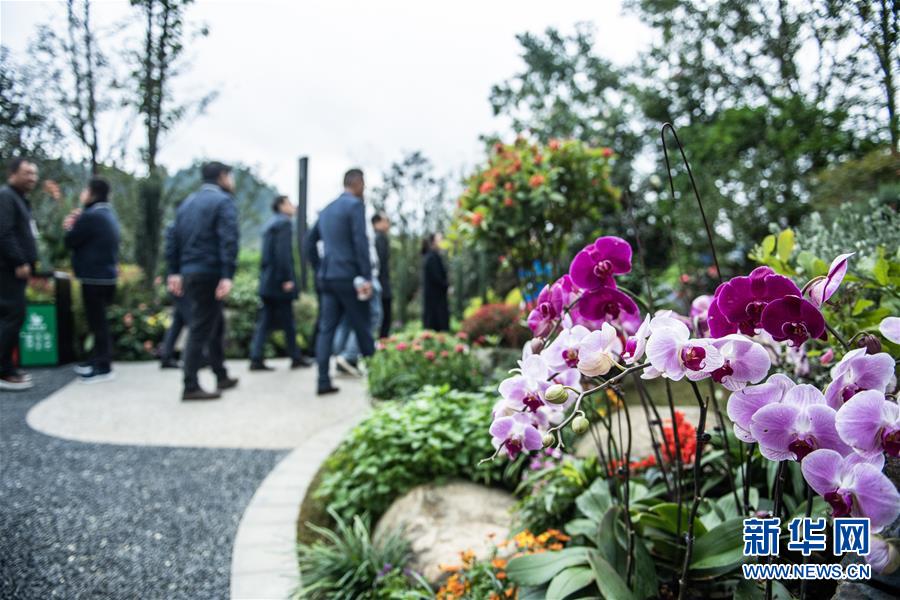 （圖文互動）（5）以自然之道，養萬物之生——第四屆中國綠化博覽會亮點掃描